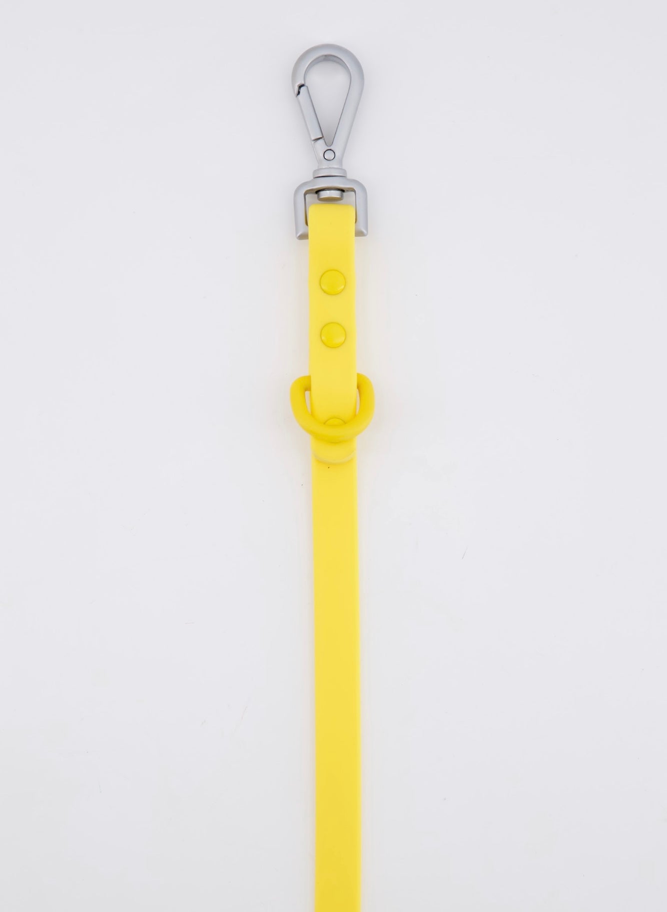 Correa Amarilla "Summer"