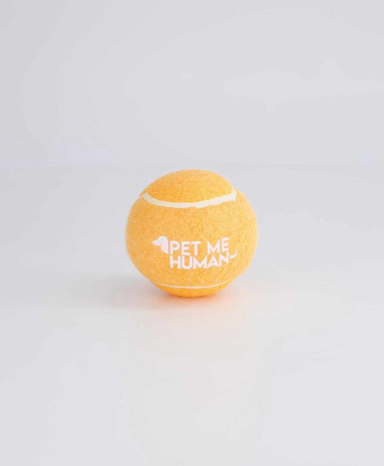 Tenis Ball PET ME
